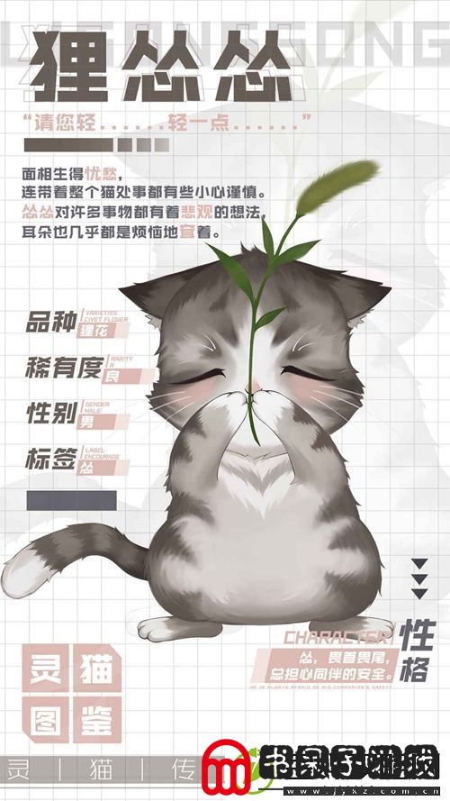 灵猫传忧郁灵猫狸怂怂属性图鉴