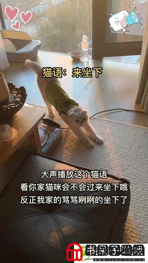 乖乖坐下来不要乱动不然会摔倒哦